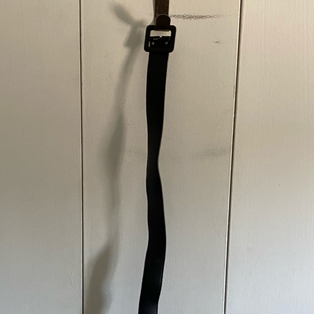 Black Vixen Micheline Pitt belt